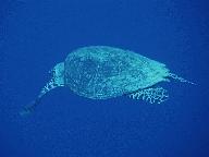 美丽的北海公园